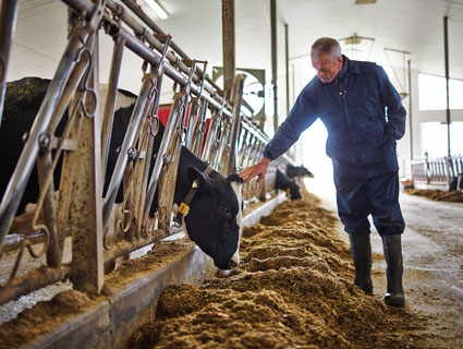 Animal Nutrition | Cargill Indonesia