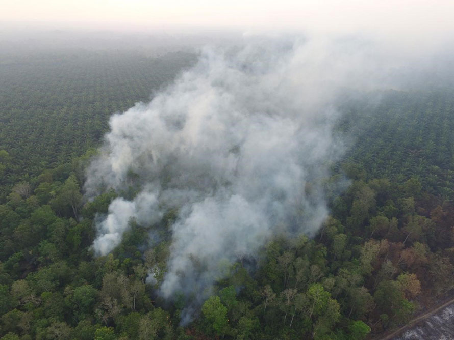 Haze blankets West Kalimantan in-page image for September 6-10, 2019 hotspot monitoring update