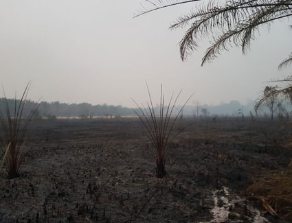 Sept 17 update Sept 17 update