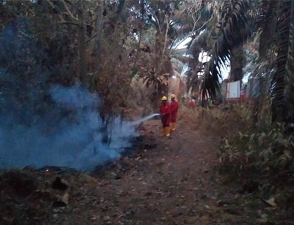 Sept 16 update Sept 16 update