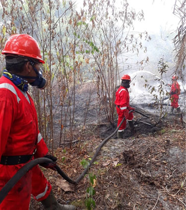 Sept 20 update Sept 20 update