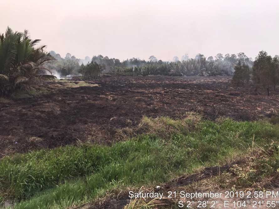 The fire in Mukut, South Sumatra is completely contained at 2.58 pm The fire in Mukut, South Sumatra is completely contained at 2.58 pm