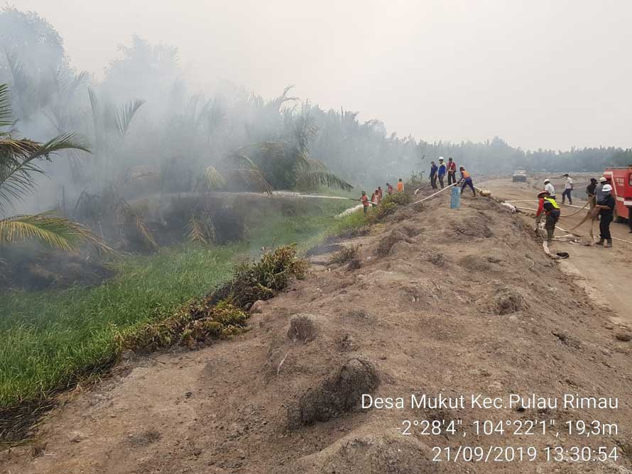 PT Hindoli fire- fighting team contains the fire outside of plantation's boundary in Mukut, South Sumatra