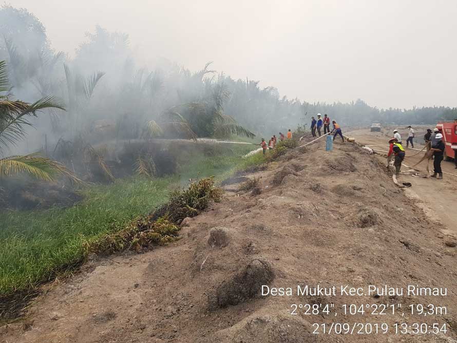 PT Hindoli fire- fighting team contains the fire outside of plantation's boundary in Mukut, South Sumatra PT Hindoli fire- fighting team contains the fire outside of plantation's boundary in Mukut, South Sumatra