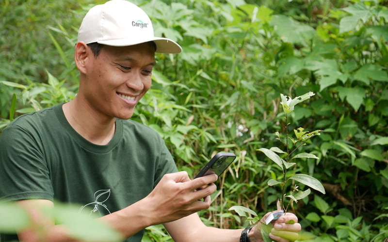 Collecting data and verifing the condition of plants and forest.