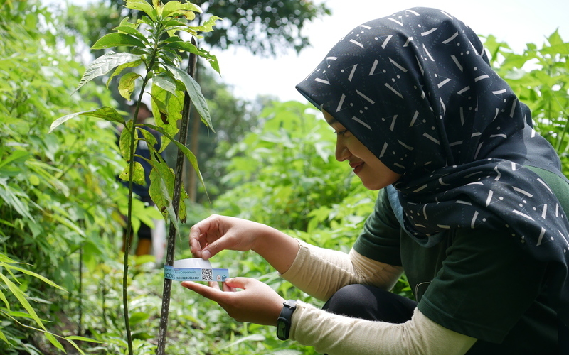 Data collection using the Bumi Baik digital application.
